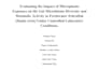 proofread, edit and format your thesis, essay or research paper